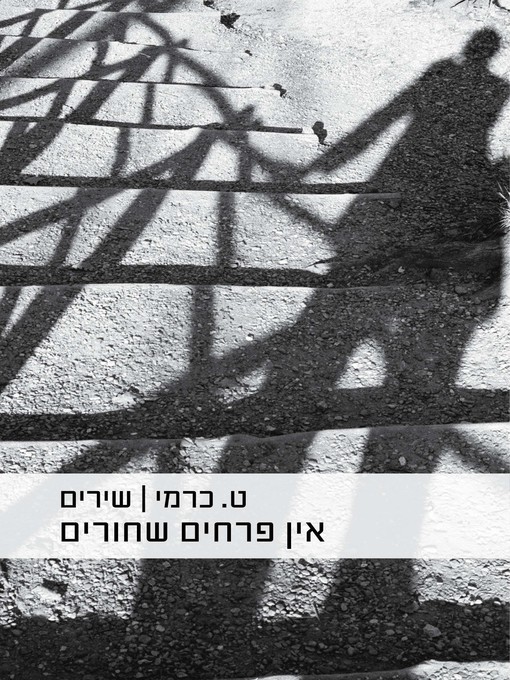 Cover of אין פרחים שחורים, מחודש (There are no Black Flowers)
